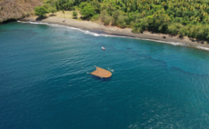 How Seafields is farming a 'fast-growing' coastal threat to create biochar and other sustainable products