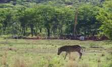 The Arcadia project in Zimbabwe