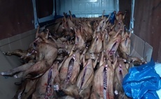 Five arrested after 48 'smoked' sheep carcasses found in van