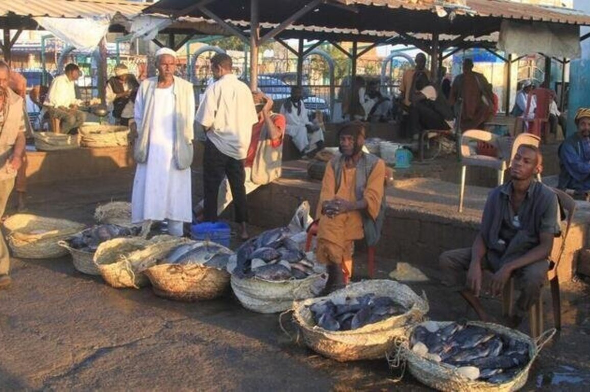 Drone attacks on Sudan markets kill at least 33