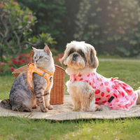 HUFT's New Summer '26 Collection Turns Everyday Moments into Little Tales of Joy