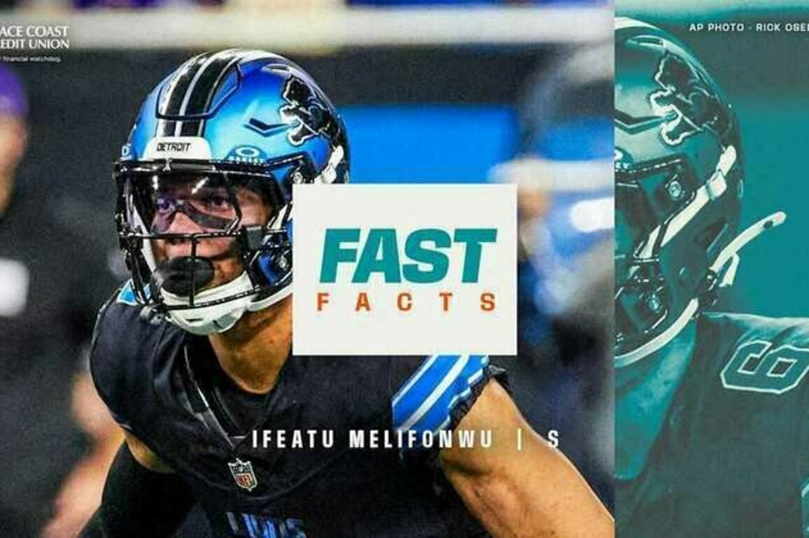 Fast Facts: Ifeatu Melifonwu