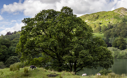 From the editor: 'Our industry's biggest asset is an empowered, fearless farming community' 