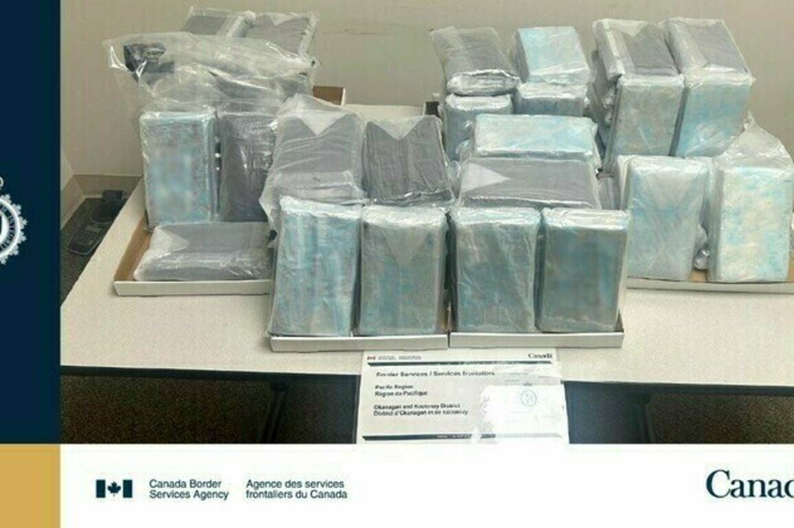 CBSA officers seize 70 kg of cocaine at Osoyoos port of entry in B.C.
