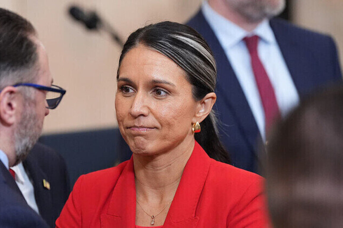 Gabbard orders probe into US-funded foreign biolabs