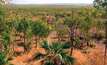 Northern Gold, Harmony set to upgrade NT reserves