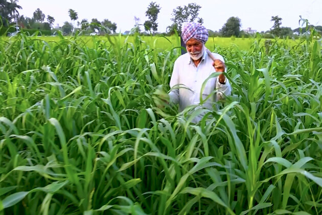 Every Rs 1 invested under KCC interest subsidy scheme generates Rs 2.30 in agricultural value: Govt