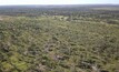  Rehabilitated land at Glencore's Oaky Creek in Queensland. 