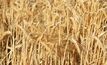 Mecardo said anything that reduces demand – be it cost, or trade barriers – will be reflected by diminishing commodity prices. 