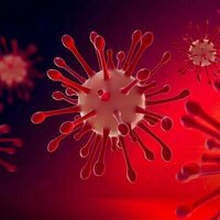 COVID, the flu and other viral infections can re-awaken dormant breast cancer cells, new study in mice shows