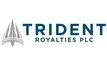 Trident has 'good momentum' CEO says