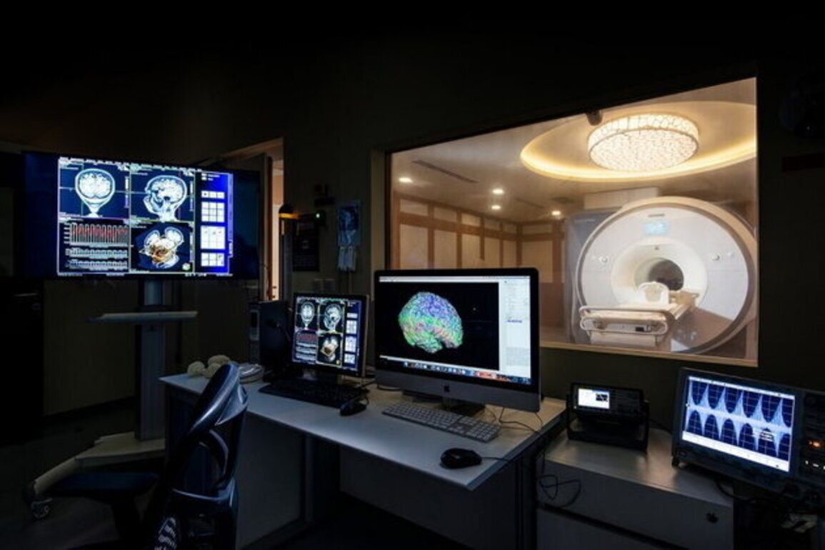 NYU Abu Dhabi, United Arab Emirates University support brain research