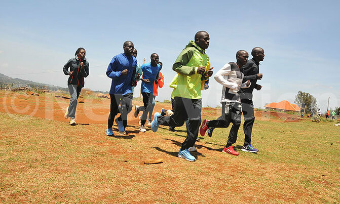 2017 World Cross Country: Progress 2017 World Cross Country: Progress