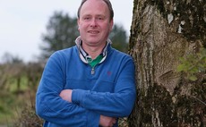 Lambing out of season is a bonus for Dorset flock