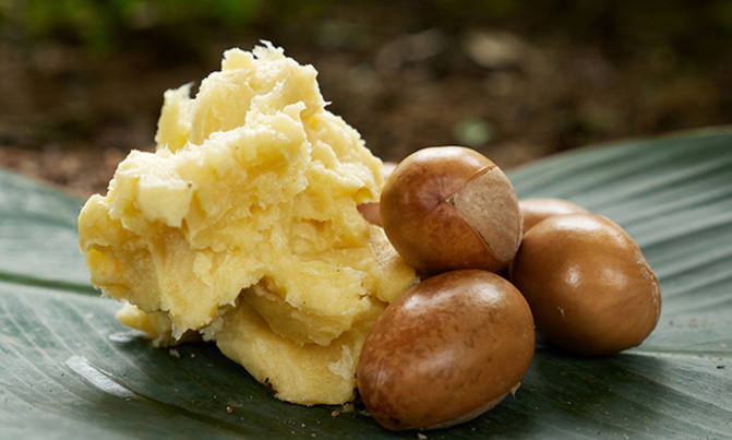 Nigerian farmers hope to spread shea butter wealth Nigerian farmers hope to spread shea butter wealth