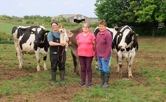 How milking heifer sales drive breeding decisions on Lincolnshire dairy farm