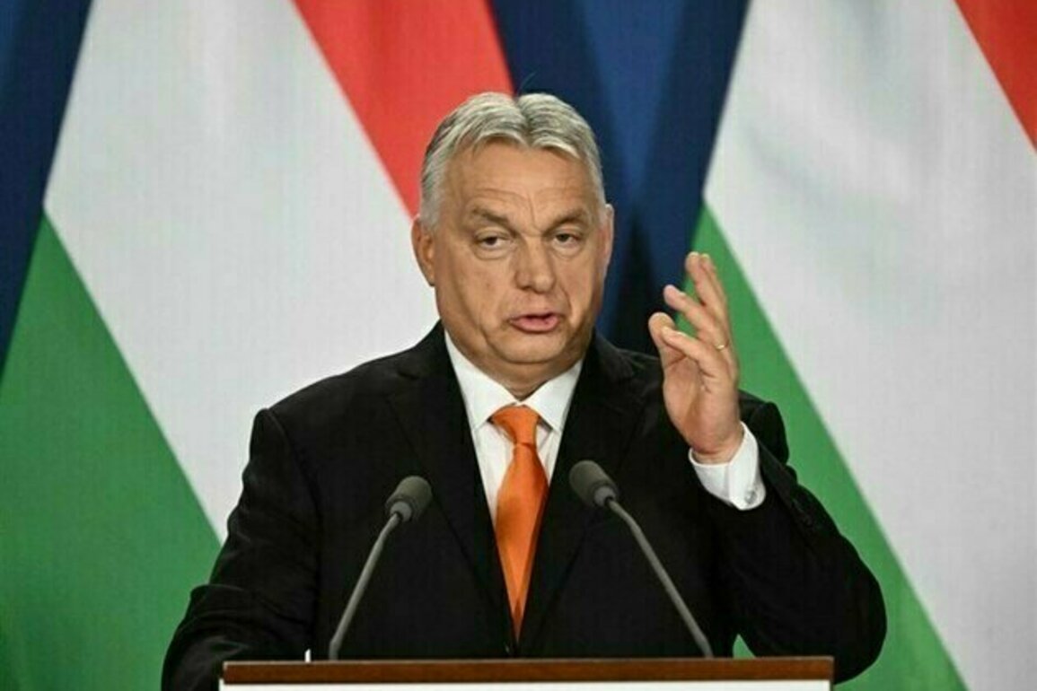 Hungarys Orban to Block EU Budget Unless Funds Released
