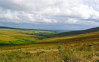 Funding round opens for low ground venison supply chain improvements