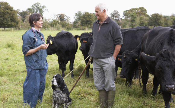 Veterinary sector faces retention crisis