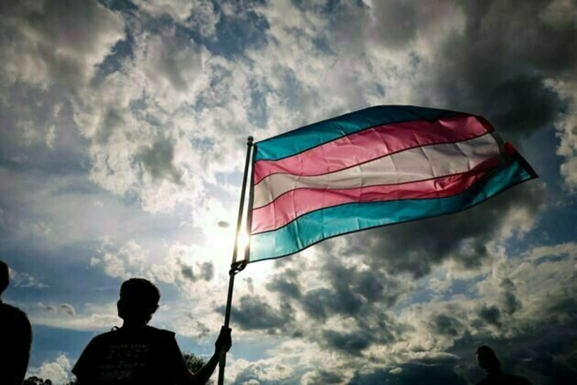 Threatening diversity, threatening growth: the business effects of Trump's anti-DEI and anti-trans agendas