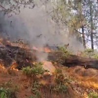 J-K: Massive forest fires break out in Rajouri amid heatwave, dry spell