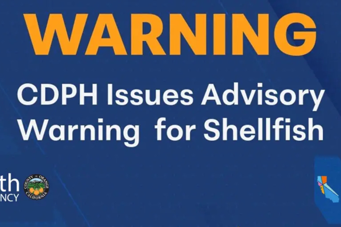So. Cal. residents warned not to eat shellfish harvested in local coastal areas - New Santa Ana