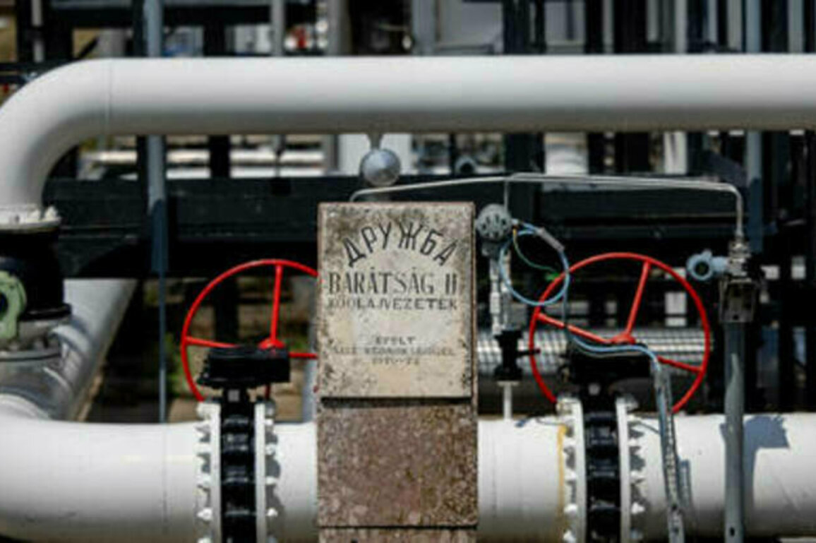 Russian oil supply to EU restored after Ukrainian attacks - authorities