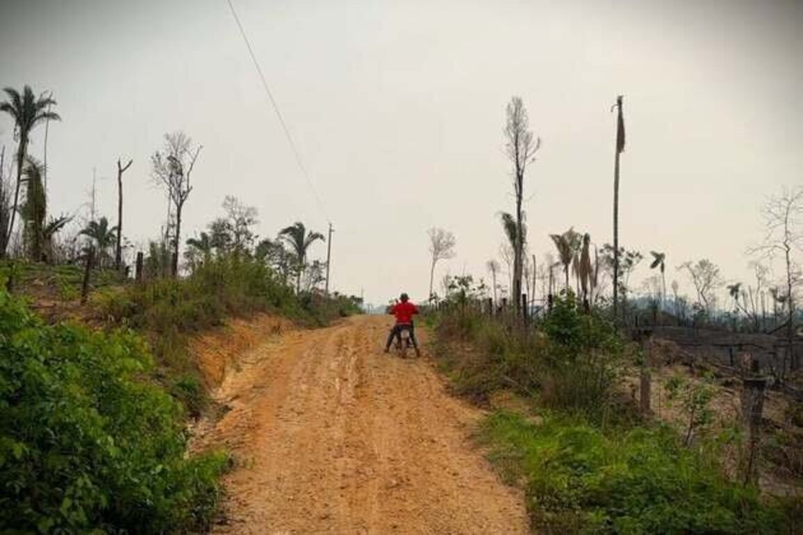 In the Shadow of COP30, Brazil is Stripping Rainforest of Protections