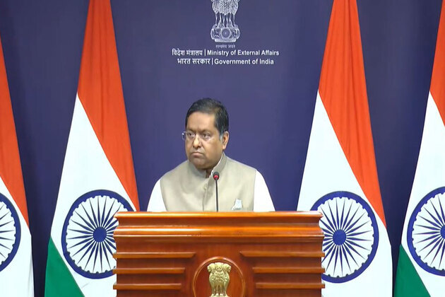 India wants to push for more democratic global governance, strengthen global fight against terrorism: MEA