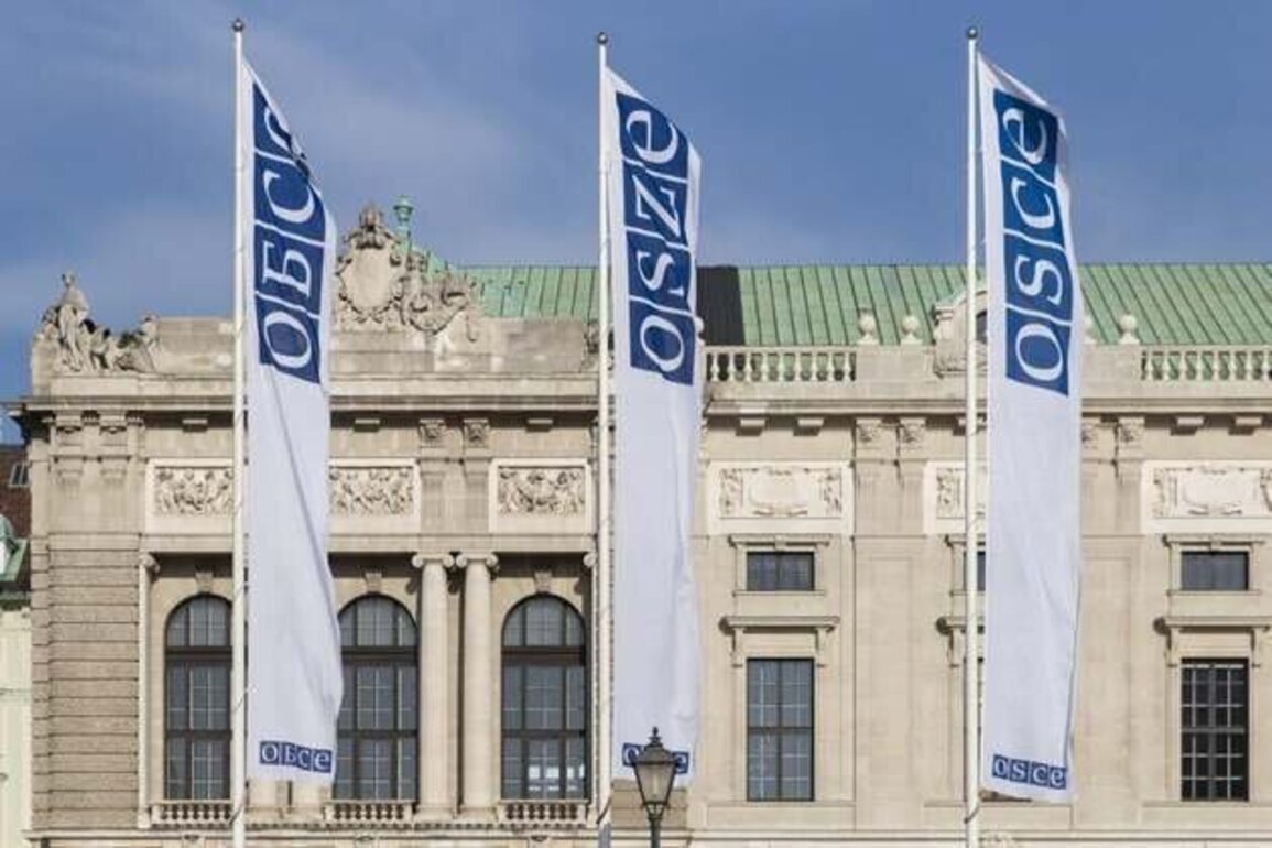 New OSCE Report Finds Sharp Democratic Backsliding in Georgia