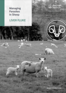 Managing parasites in sheep - Liver Fluke