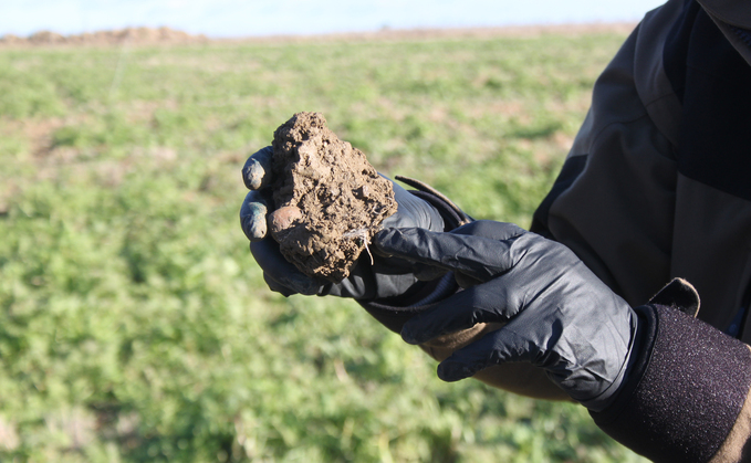 Farming Matters – Simon Jeffery & Lizzie Lloyd: "Soils are key to future of farming"