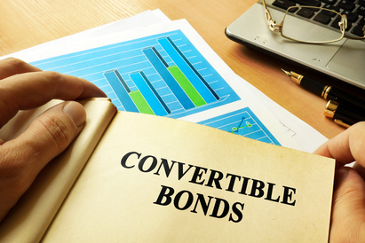 Choosing convertible bond flavours