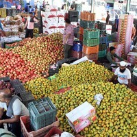 Edible oils, industry essentials drive growth outlook; FMCG recovery gradual, says Report