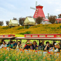 CHINA-SHAANXI-HANZHONG-VILLAGES-FLOWERS-TOURISM (CN)