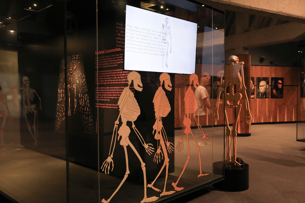SOUTH AFRICA-GAUTENG-"CRADLE OF HUMANKIND"