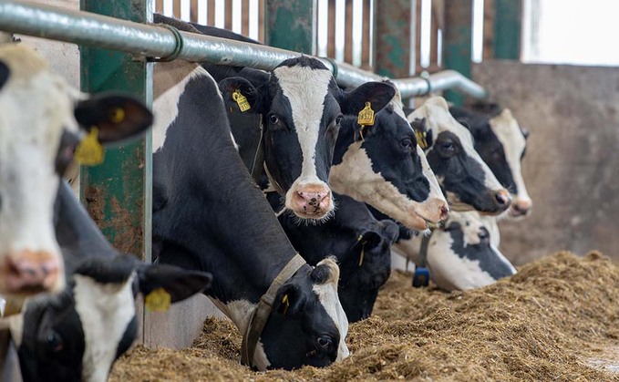 Warning environmental permits phase-in could put some dairy farms out of business