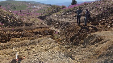 The Coffee deposit in Yukon, Canada