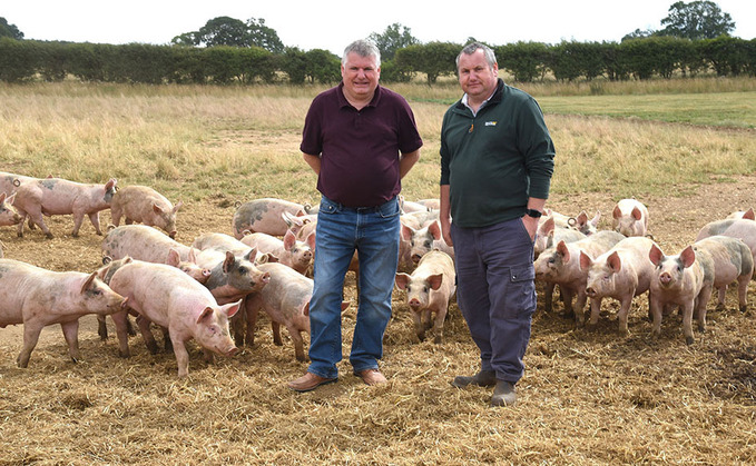 High health and biosecurity central to large-scale outdoor pig production unit