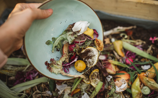 WRAP: Millions of tonnes of food waste putting net zero targets at risk