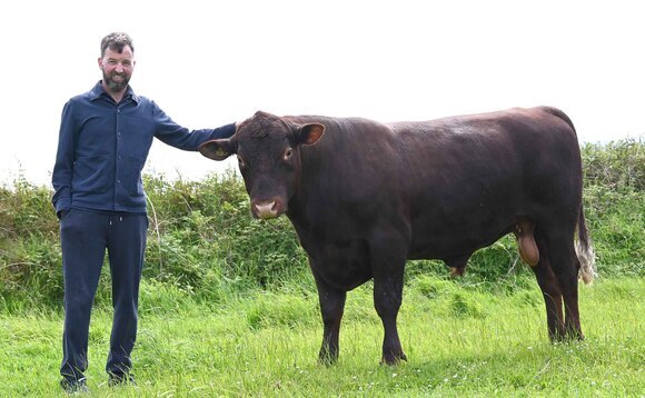 Alternative approach to dairying works for Pembrokeshire farm