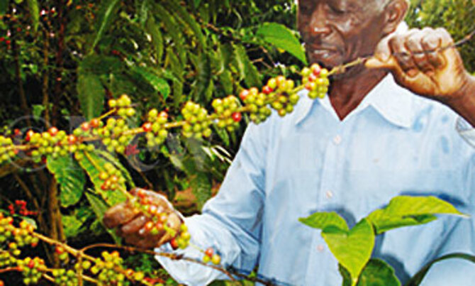 Mbabazi woos Europe's largest coffee roaster Mbabazi woos Europe's largest coffee roaster