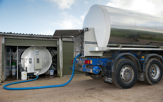 More dairy prices come under pressure