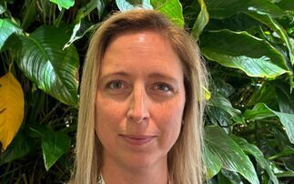 Fossil fuel shortcuts offer long-term risks - but bioenergy can support real energy security