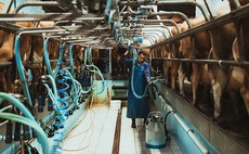 A look at the strength of the dairy market