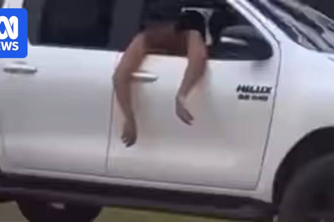 'Sickening' animal video in Western Australia's far north sparks outrage