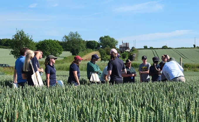 Late septoria hits trial plots