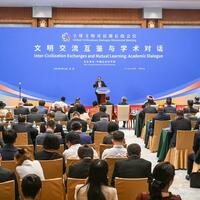 Interview: China's global initiatives reflect deep understanding of world, says Russian expert