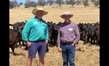  Watchful eye: CEO and managing director of HBP, Murray Richardson, and southern herd manager, Michael Gooden, inspecting some of the company’s cattle near Wagga Wagga, NSW.  Photo: Pamela Lawson.