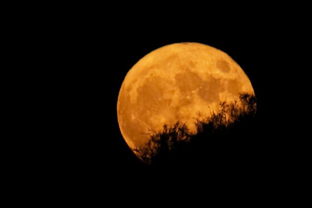 How to grow plants on the moon - new study